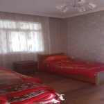 Satılır 5 otaqlı Həyət evi/villa İsmayıllı 20
