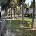 Satılır Torpaq, Saray, 28 Mall, Abşeron rayonu 5