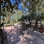 Продажа 8 комнатная Дача, м. Короглу метро, Сабунчу район 16