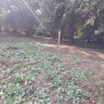 Satılır Torpaq Qəbələ 5