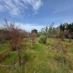 Satılır Torpaq, Mərdəkan, Xəzər rayonu 1