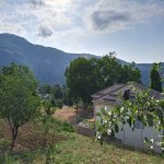 Kirayə (günlük) 3 otaqlı Həyət evi/villa Lerik 4