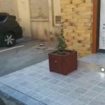 Kirayə (aylıq) 1 otaqlı Ofis, Nizami metrosu, Yasamal rayonu 12
