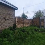 Satılır Torpaq Qəbələ 7