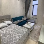 Аренда 1 комнатная Новостройка, м. 8 Ноябрь метро, Насими район 6