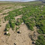 Satılır Torpaq, Novxanı, Abşeron rayonu 4