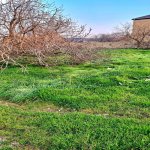 Satılır Torpaq, Digah, Abşeron rayonu 3