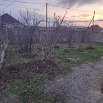 Продажа Участок, м. Азадлыг метро, пос. Бинагяди, Бинагадинский р-н район 1