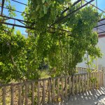 Kirayə (aylıq) 3 otaqlı Bağ evi, Mərdəkan, Xəzər rayonu 1