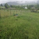 Satılır 4 otaqlı Həyət evi/villa İsmayıllı 6