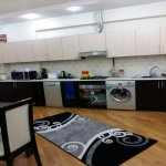 Kirayə (günlük) 3 otaqlı Yeni Tikili, 28 May metrosu, Nəsimi rayonu 10