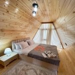 Kirayə (günlük) 3 otaqlı Həyət evi/villa Qəbələ 9