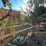 Satılır 4 otaqlı Həyət evi/villa, Şağan, Xəzər rayonu 15