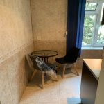Kirayə (aylıq) 1 otaqlı Köhnə Tikili, Elmlər akademiyası metrosu, Yasamal qəs., Yasamal rayonu 7
