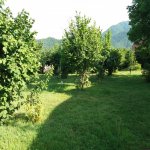 Kirayə (günlük) 3 otaqlı Həyət evi/villa Qəbələ 9