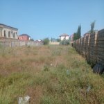 Satılır Torpaq, Fatmayi, Abşeron rayonu 1