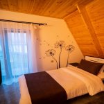 Kirayə (günlük) 4 otaqlı Həyət evi/villa Qəbələ 11
