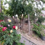 Satılır 3 otaqlı Həyət evi/villa, Binə qəs., Xəzər rayonu 2