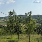 Satılır Torpaq İsmayıllı 18