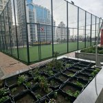 Satılır 2 otaqlı Yeni Tikili, 20 Yanvar metrosu, Yasamal rayonu 13