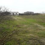 Satılır 4 otaqlı Bağ evi, Goradil, Abşeron rayonu 3