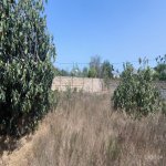 Продажа Участок, Фатмаи, Абшерон район 1