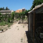 Kirayə (aylıq) 7 otaqlı Bağ evi, Koroğlu metrosu, Nardaran qəs., Sabunçu rayonu 29