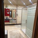 Kirayə (aylıq) 4 otaqlı Yeni Tikili, 28 May metrosu, Port Baku, Xətai rayonu 12