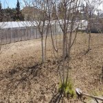 Satılır 5 otaqlı Bağ evi, Nardaran qəs., Sabunçu rayonu 1