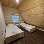 Kirayə (günlük) 4 otaqlı Həyət evi/villa Qəbələ 10
