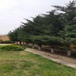 Продажа 6 комнатная Дача, м. Короглу метро, пос. Пиршаги, Сабунчу район 31