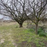 Satılır Torpaq, Fatmayi, Abşeron rayonu 3