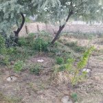 Satılır 3 otaqlı Həyət evi/villa, Novxanı, Abşeron rayonu 17
