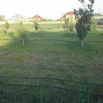 Satılır Torpaq Quba 28