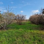 Satılır Torpaq, Bilgəh qəs., Sabunçu rayonu 3