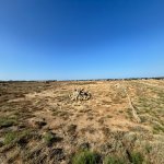 Продажа 5 комнатная Дома/Виллы, Гала, Хязяр район 24