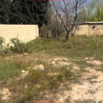 Satılır Torpaq, Novxanı, Abşeron rayonu 2