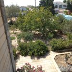 Kirayə (aylıq) 6 otaqlı Bağ evi, Mərdəkan, Xəzər rayonu 10