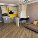 Аренда 2 комнатная Новостройка, м. Эльмляр Академиясы метро, Ясамал район 5