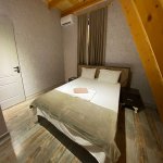 Kirayə (günlük) 5 otaqlı Həyət evi/villa Qəbələ 11