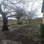 Продажа 4 комнатная Дома/Виллы Сабирабад 5