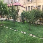 Kirayə (aylıq) 12 otaqlı Həyət evi/villa, Badamdar qəs., Səbail rayonu 4
