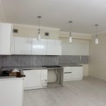 Kirayə (aylıq) 3 otaqlı Yeni Tikili, Gənclik metrosu, Nəsimi rayonu 10