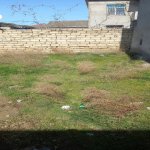 Satılır Torpaq, Masazır, Abşeron rayonu 5