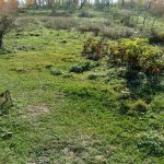 Satılır Torpaq Quba 3