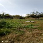 Satılır 5 otaqlı Həyət evi/villa, Novxanı, Abşeron rayonu 25