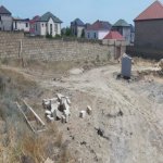 Satılır Torpaq, Badamdar qəs., Səbail rayonu 4