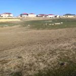 Satılır Torpaq, Abşeron rayonu 2