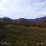 Satılır Torpaq Qəbələ 4