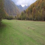 Satılır Torpaq Oğuz 4